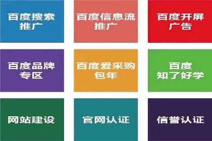 竞价推广与SEM托管结合的营销策略——某电商平台的实践